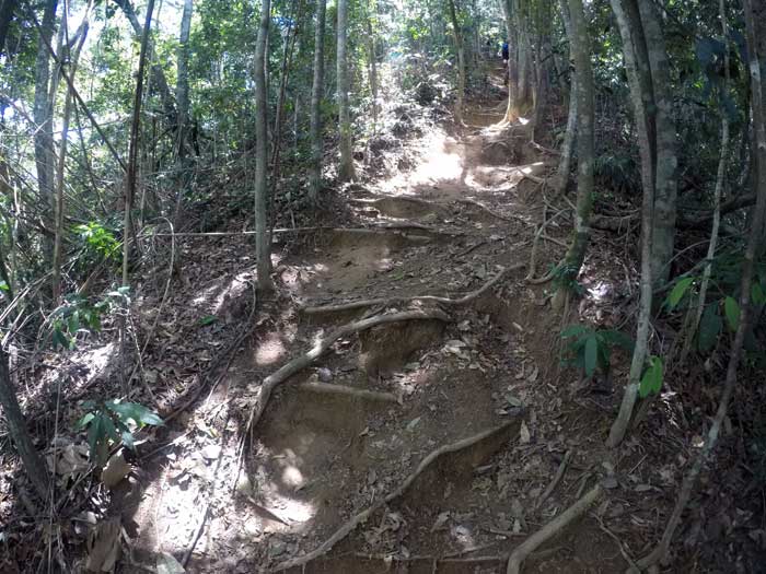 corcovado-trail