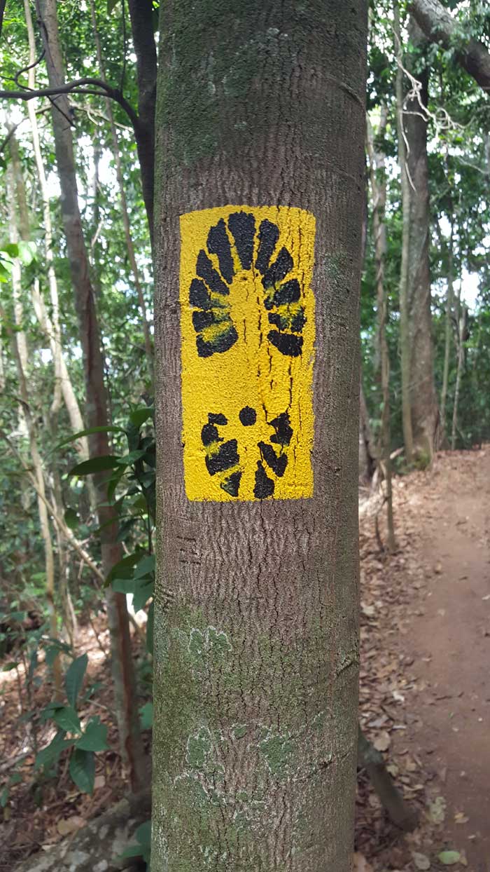 corcovado trail markings