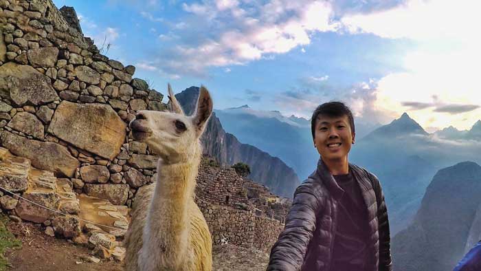 llama-selfie